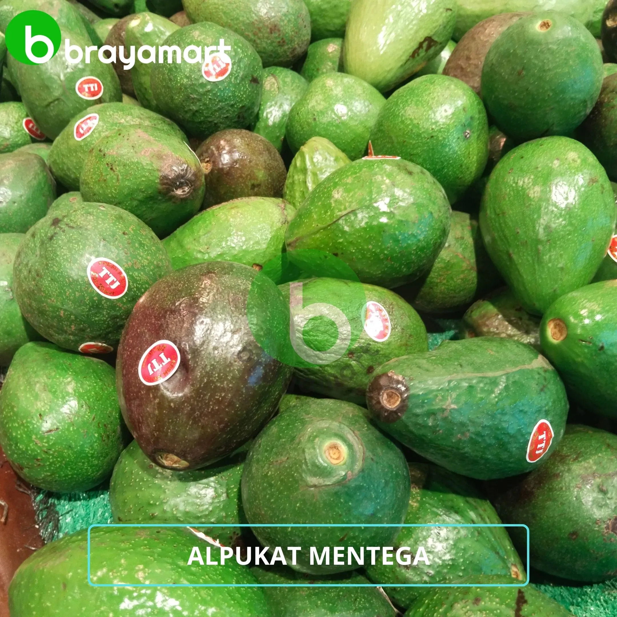 Alpukat Mentega 100 gram