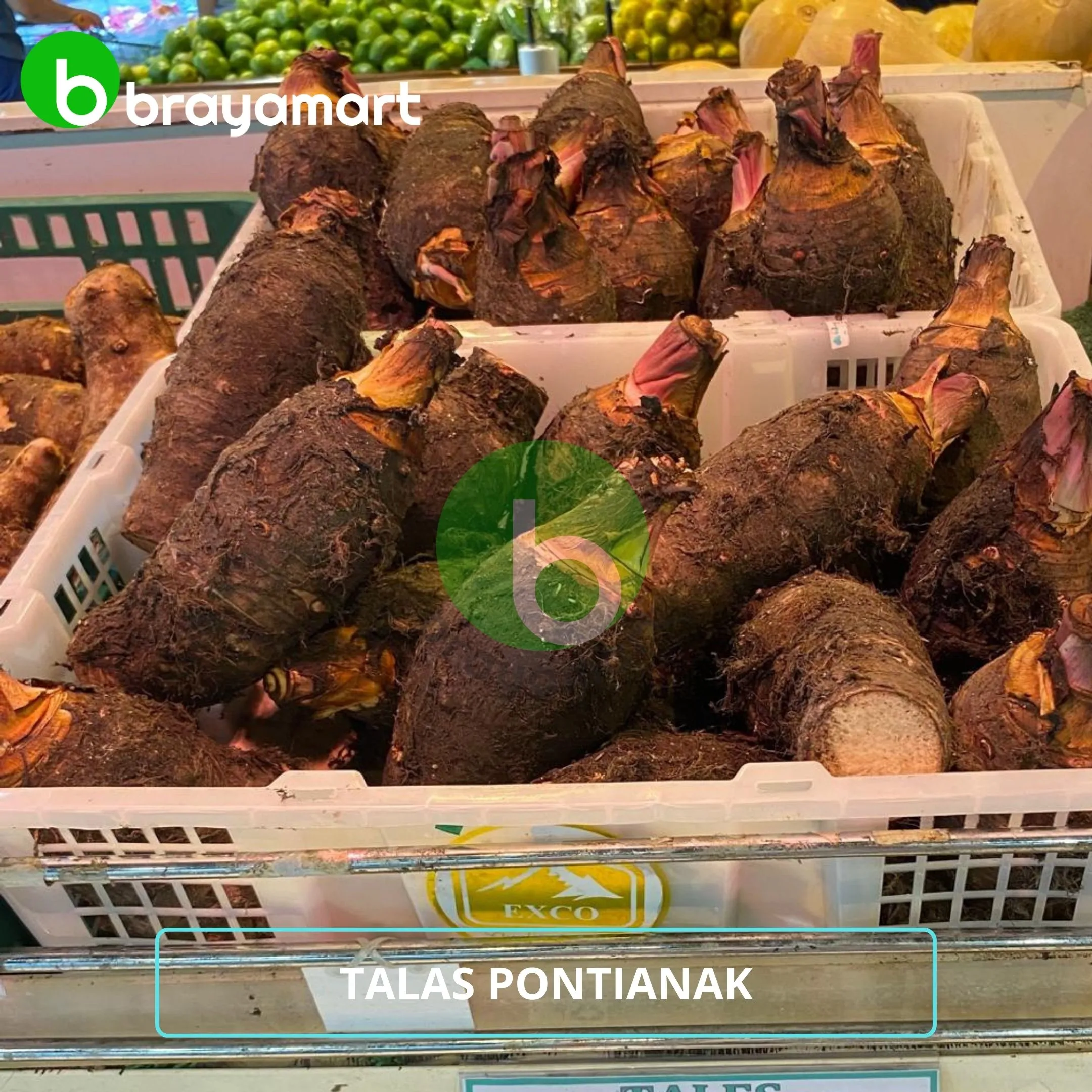 Tales Pontianak