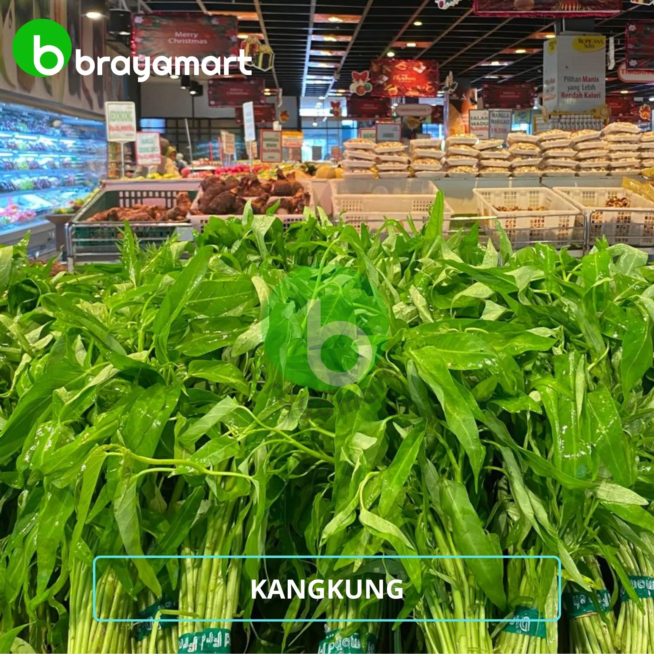 Kangkung